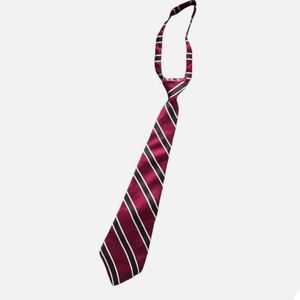 FREE WITH BUNDLE | Gymboree | Neck Tie